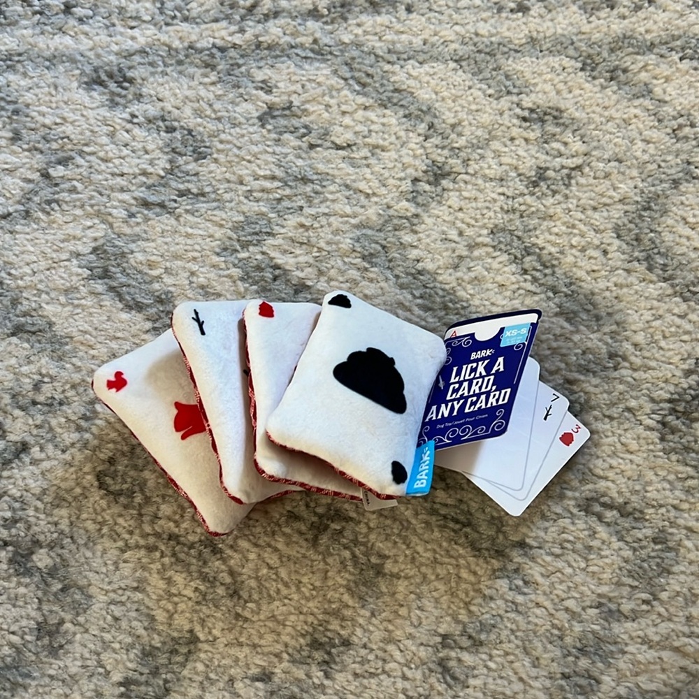 NEW Cards Dog Toy